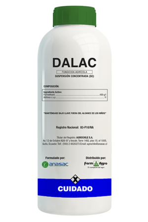 DALAC