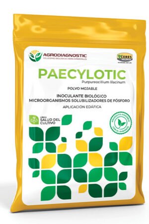 PAECYLOTIC