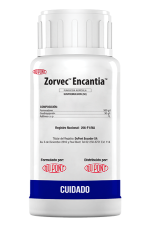 ZORVEC ENCANTIA - 250 CC