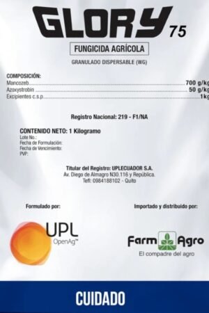 GLORY - 1 KG