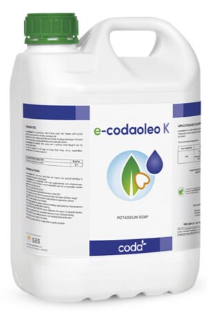 E-CODAOLEO K