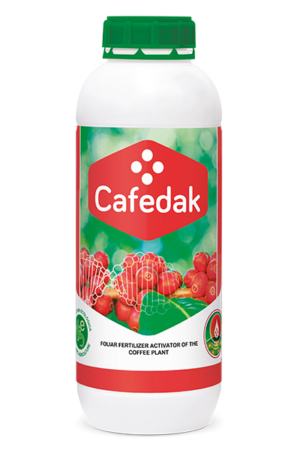 CAFEDAK - 1L