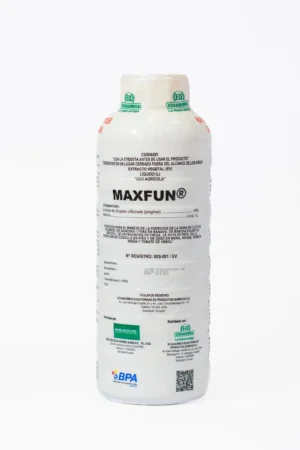 MAX FUN