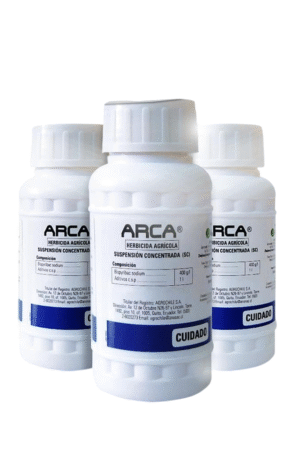 ARCA 100cc