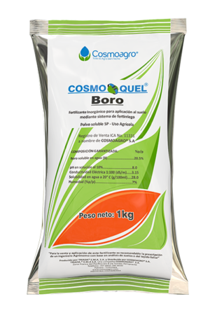 COSMOQUEL BORO