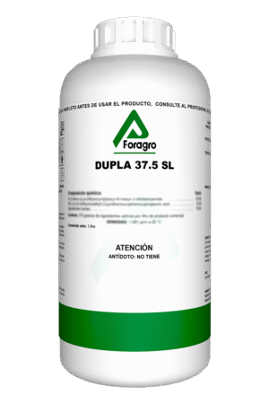 DUPLA SL