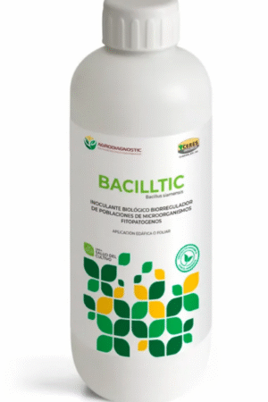 BACILLTIC- 1LT