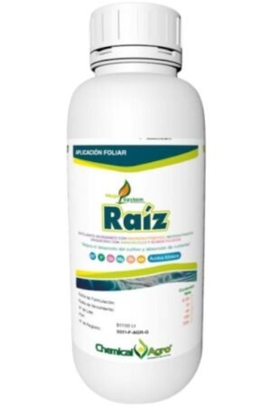 MEGA SYSTEM-RAÍZ